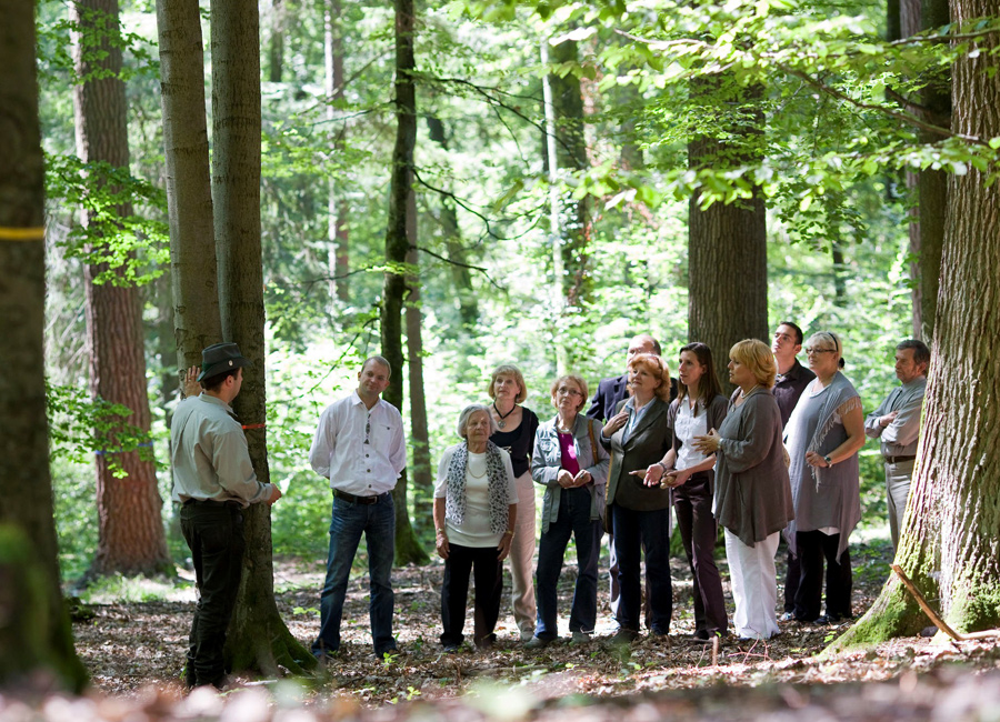 bestattungsformen_friedwald_02_gross