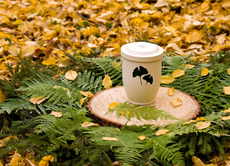 bestattungsformen_friedwald_04_gross